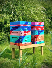 Load image into Gallery viewer, INSA x HONEYBADGER HONEY