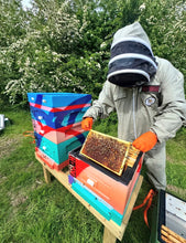 Load image into Gallery viewer, INSA x HONEYBADGER HONEY